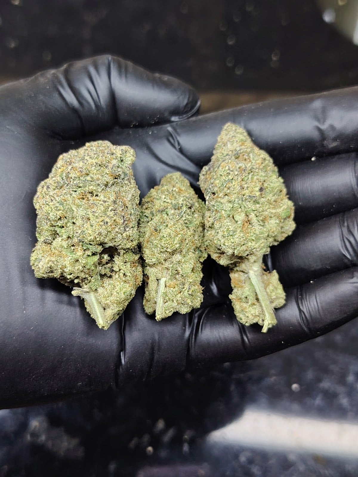 Bomhappy Cannabis