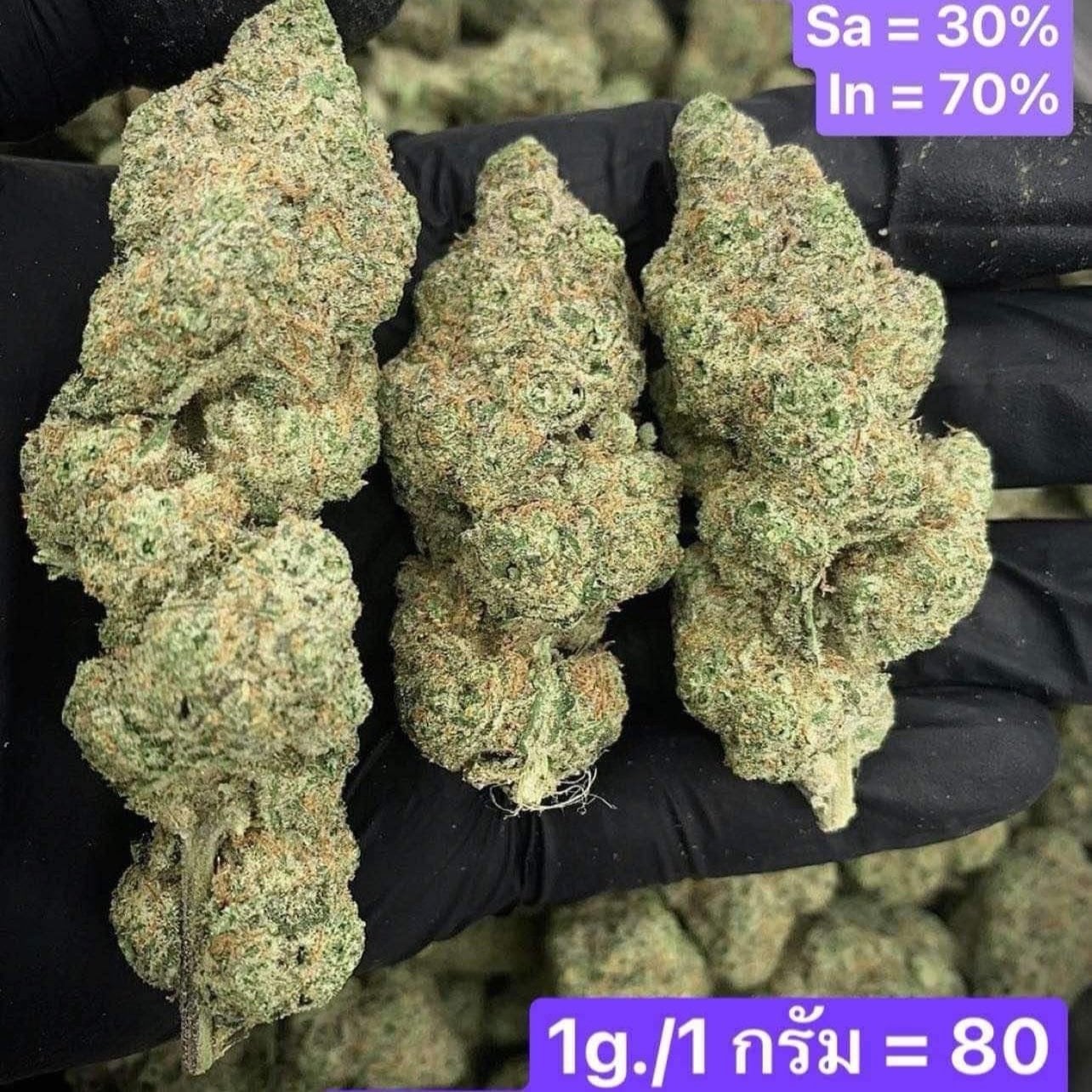Ppn420cnx