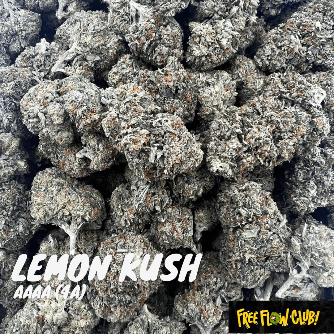 FreeFlow