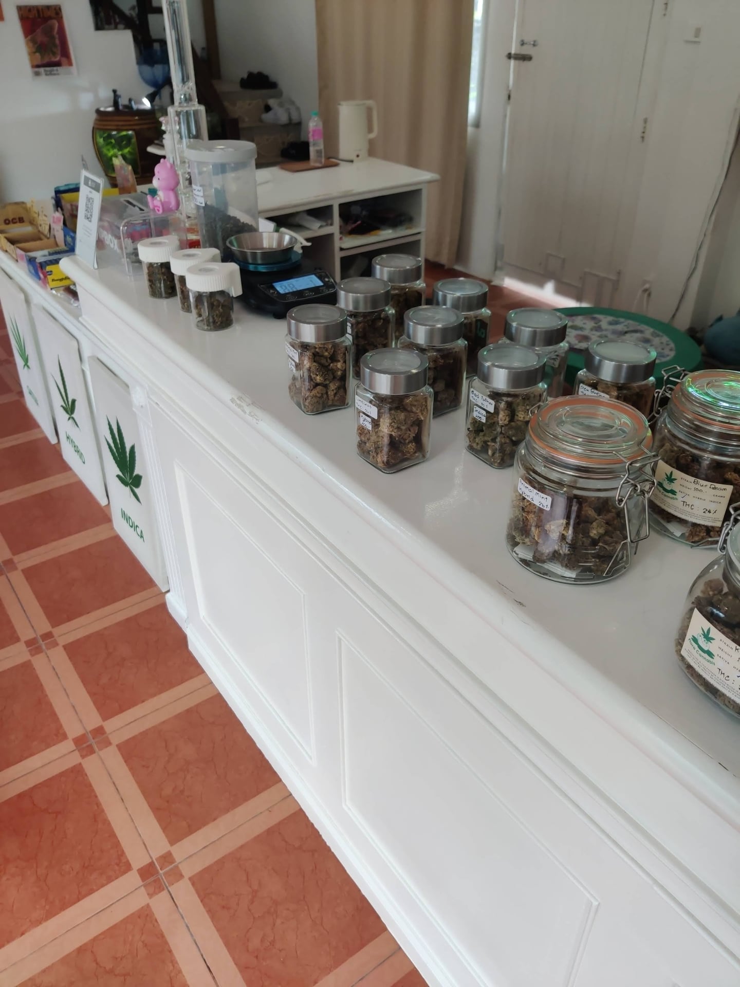 Flora Cannabis Samui