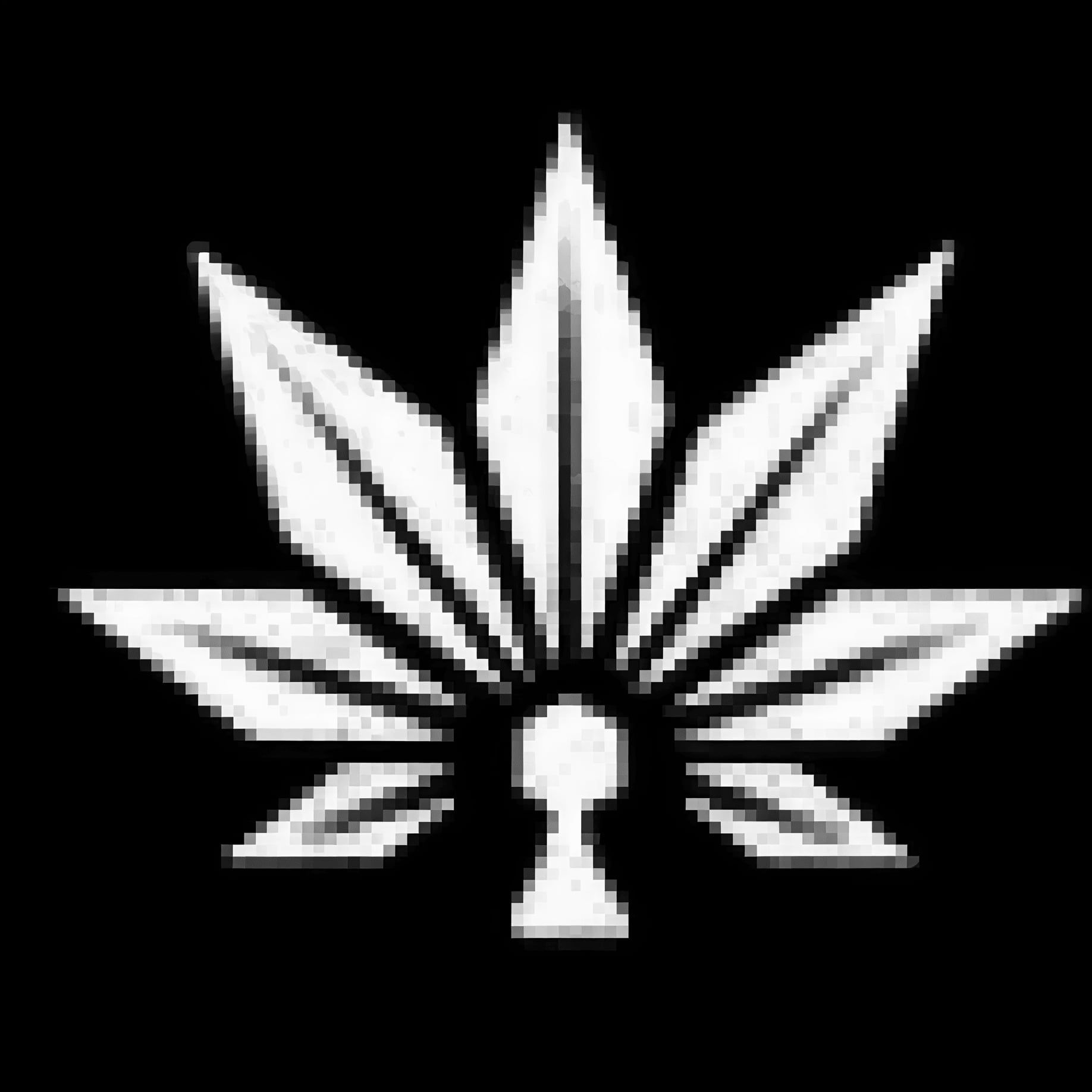 Cannabis Social Club Hi-Grow Cafe logo
