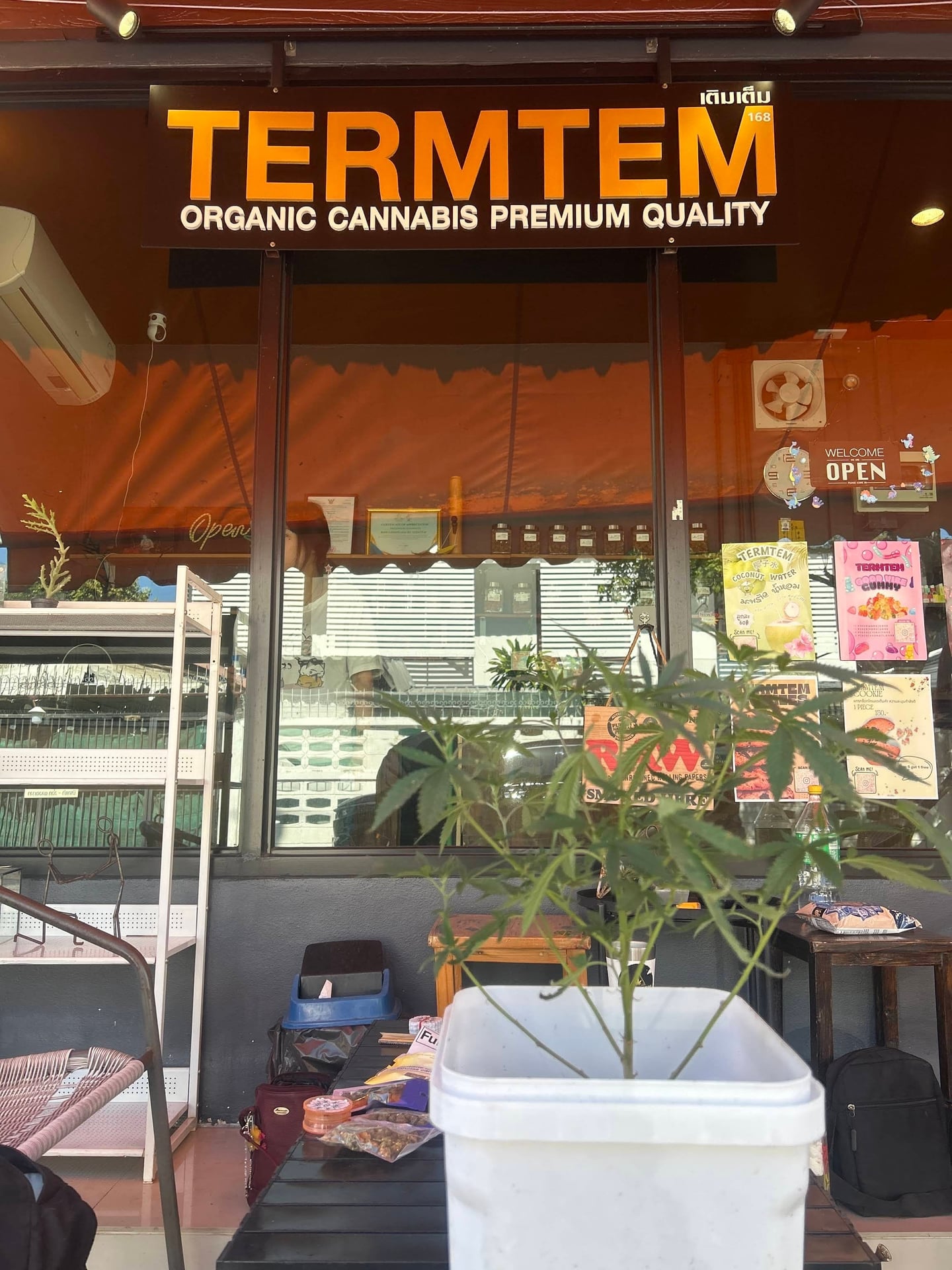 Termtemcnx
