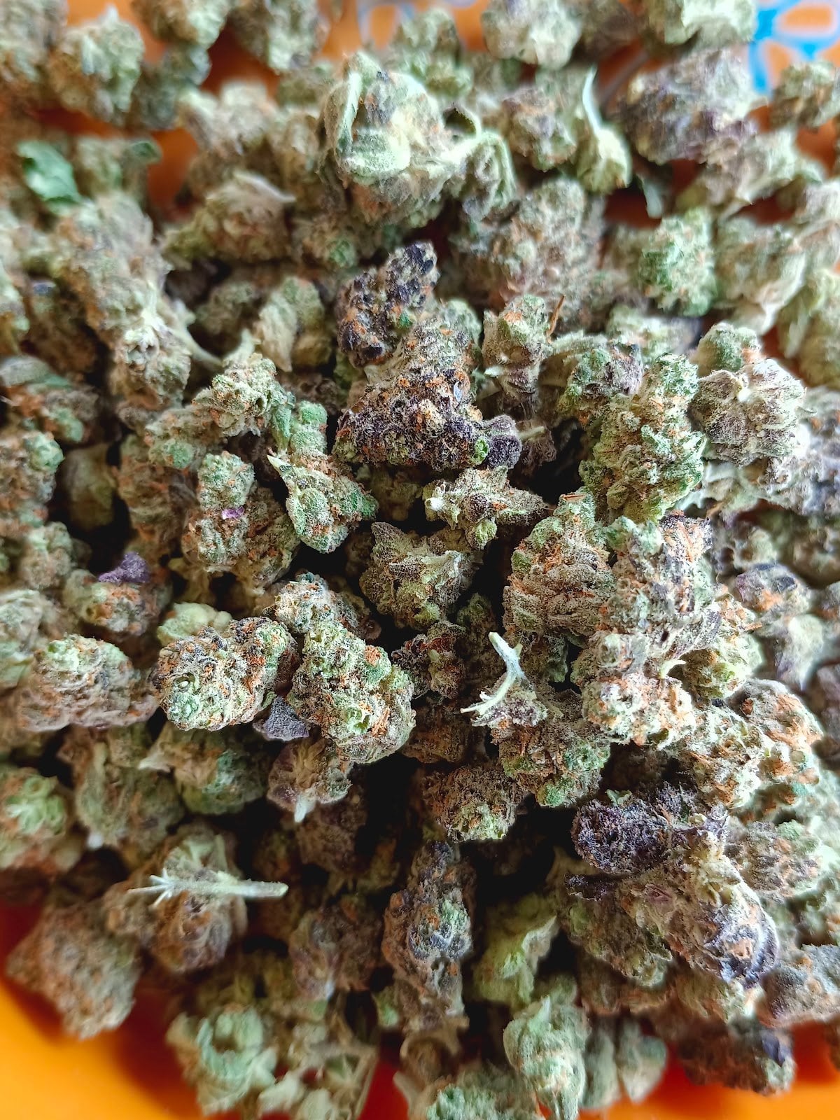 Amazing Flower