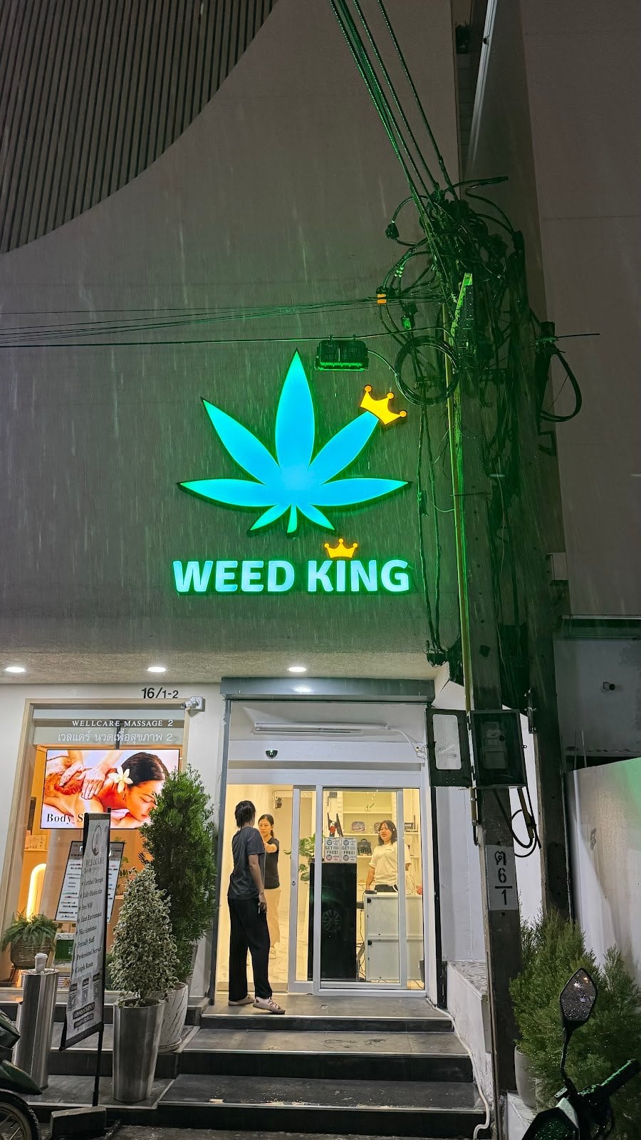 WEED KING - Marijuana