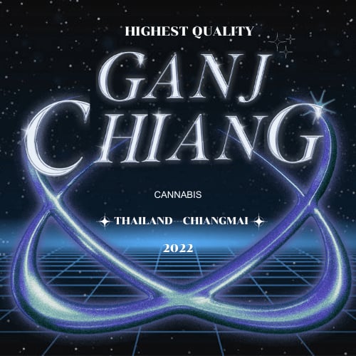 Weed Shop Ganj Chiang - Best Cannabis In Chiangmai