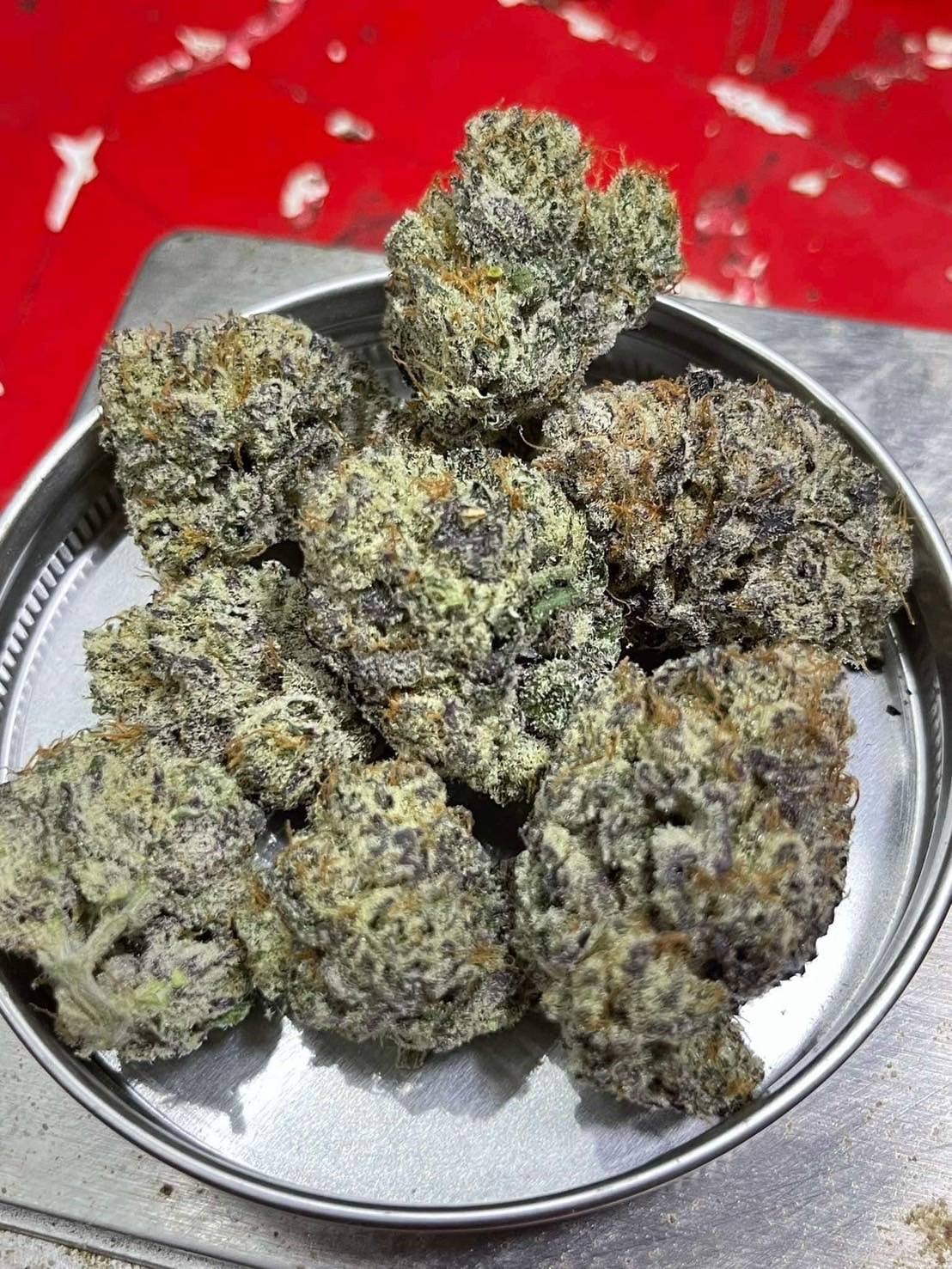 Paradis Buds