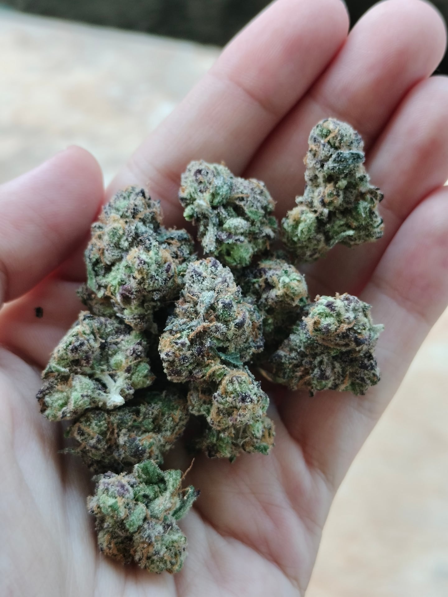 Canna Haze Ao Nang