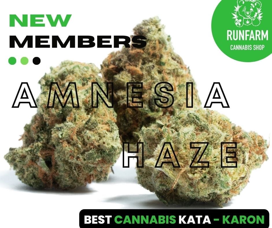 RUNFARM Cannabis Shop Kata - Karon
