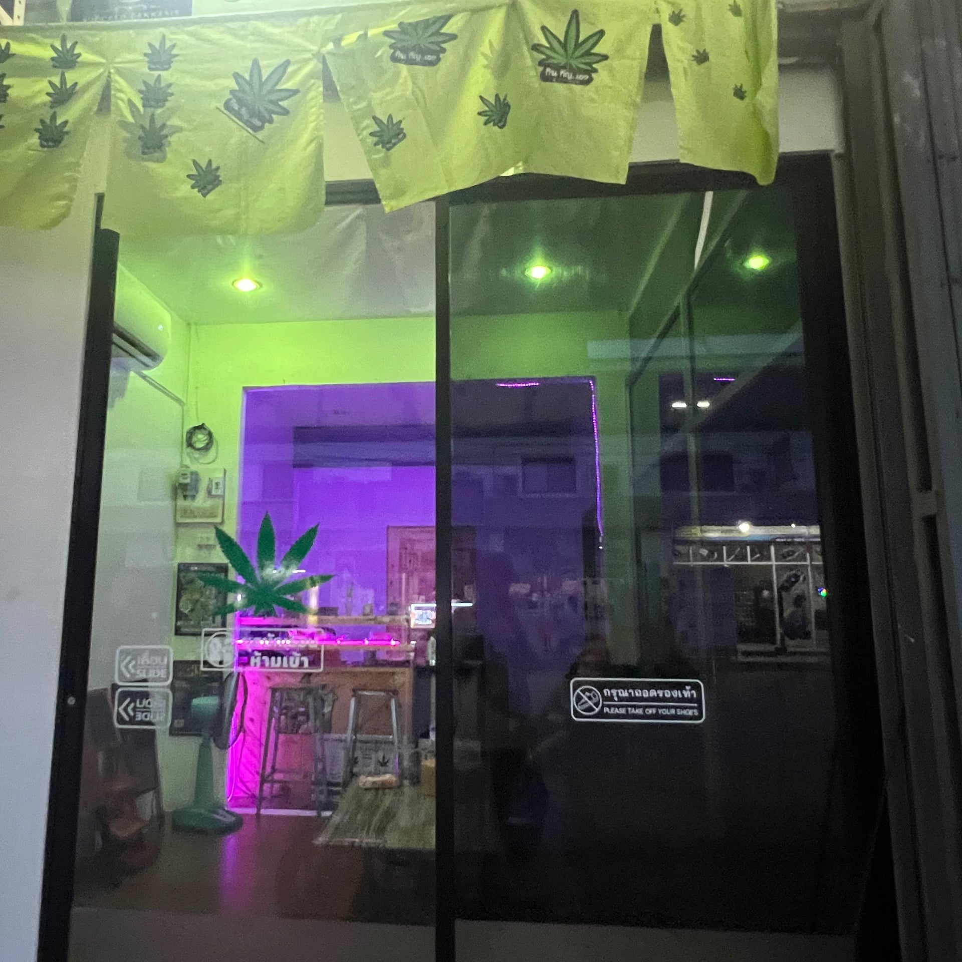 Succeed Cannabis