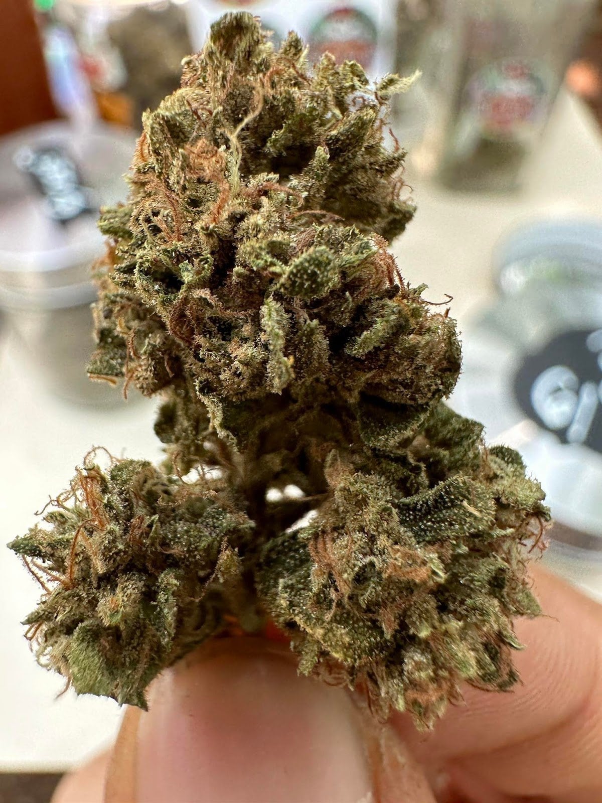 Cannabis Fun Farm
