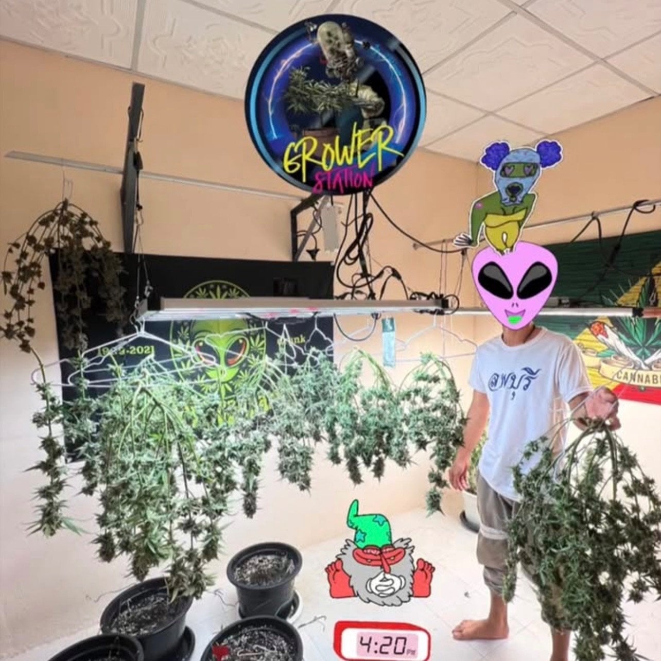 Grower Station Trat