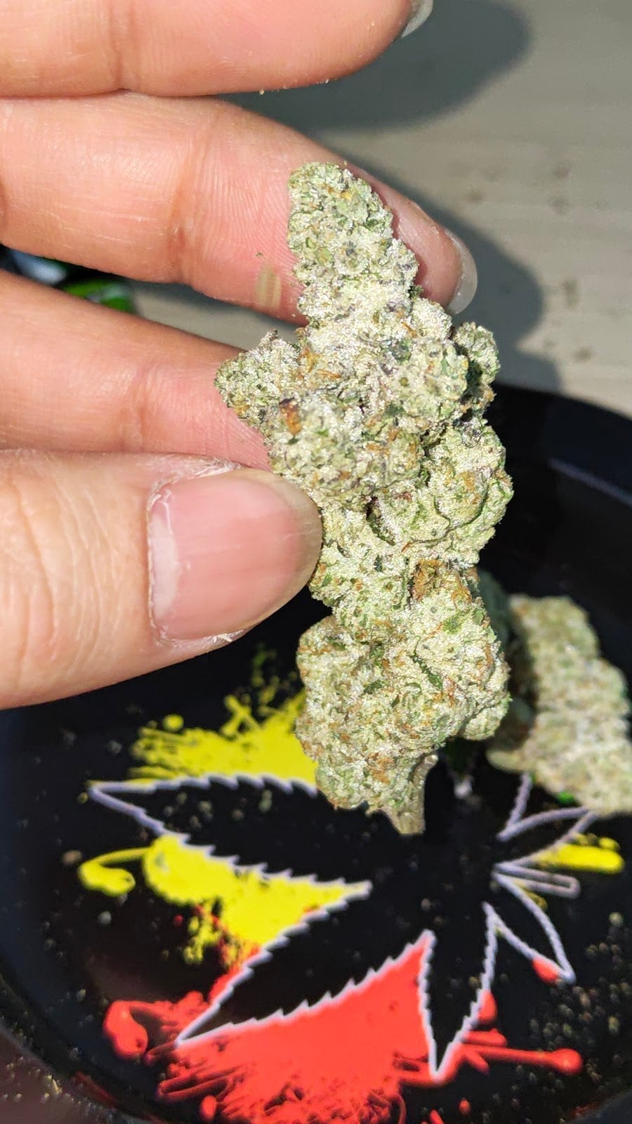 Royal Cannabis Dispensary Ll