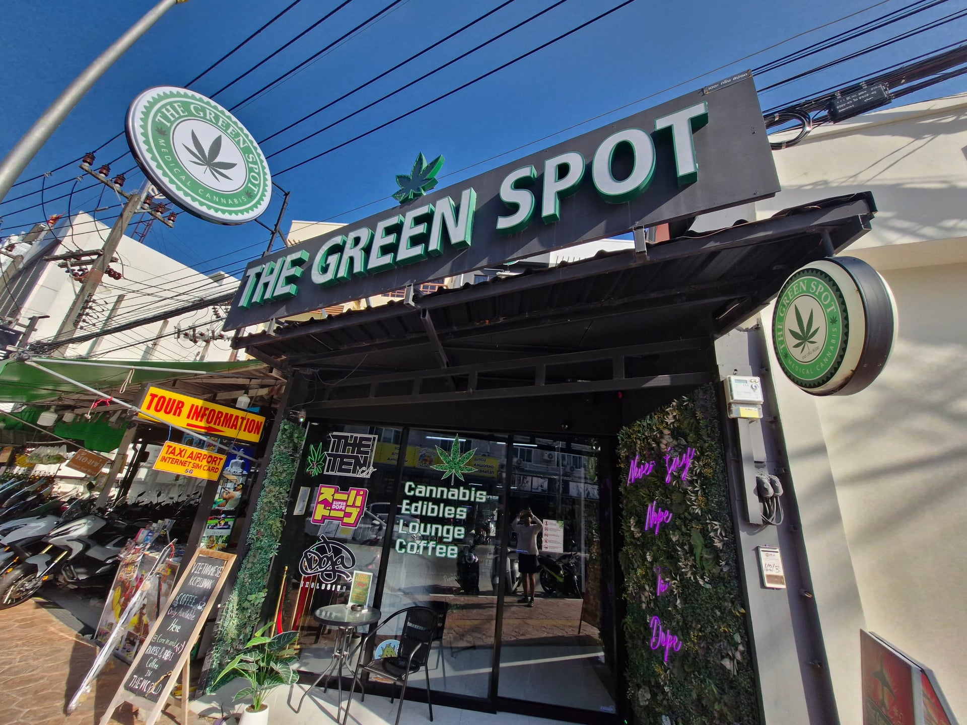 Mintz - Best Weed Phuket