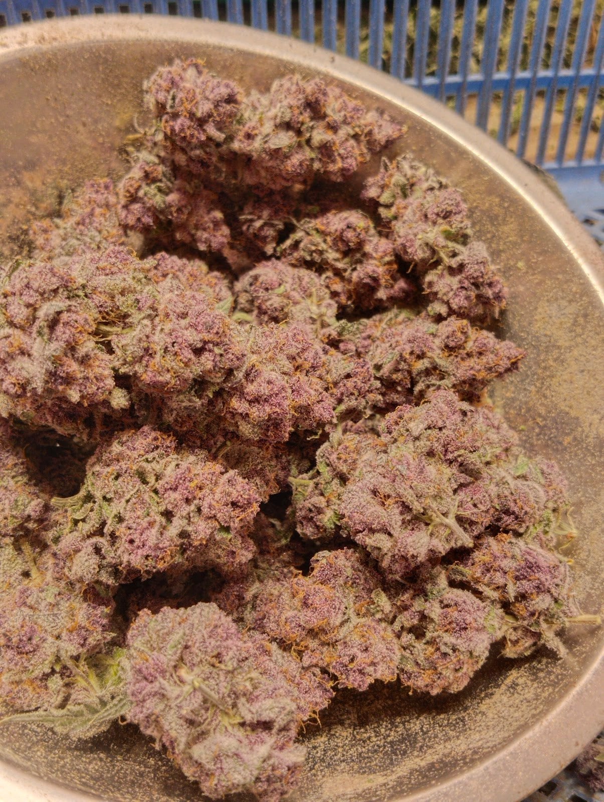 Mali Cannabis House