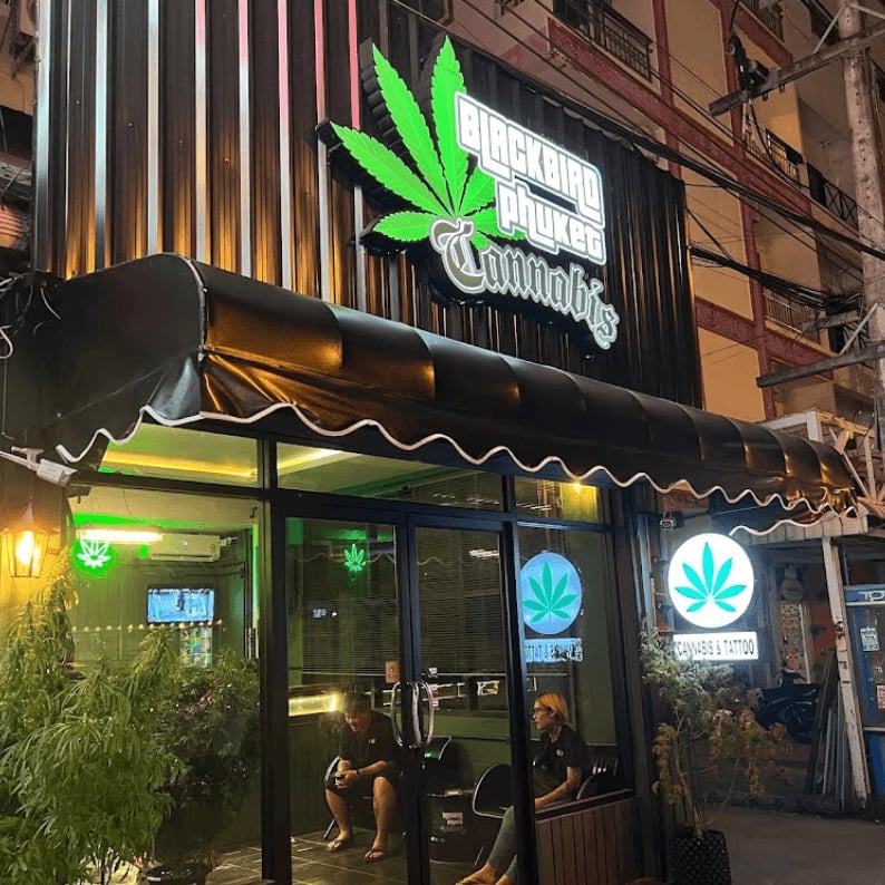 Blackbird Phuket Cannabis