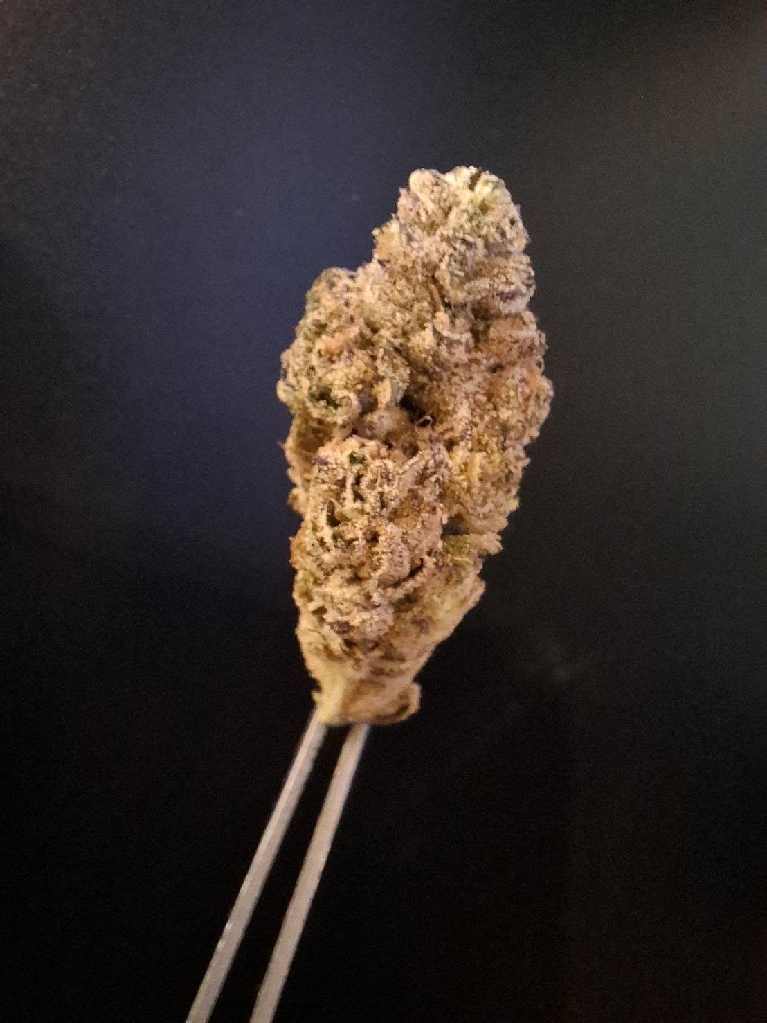 Flora Cannabis Samui