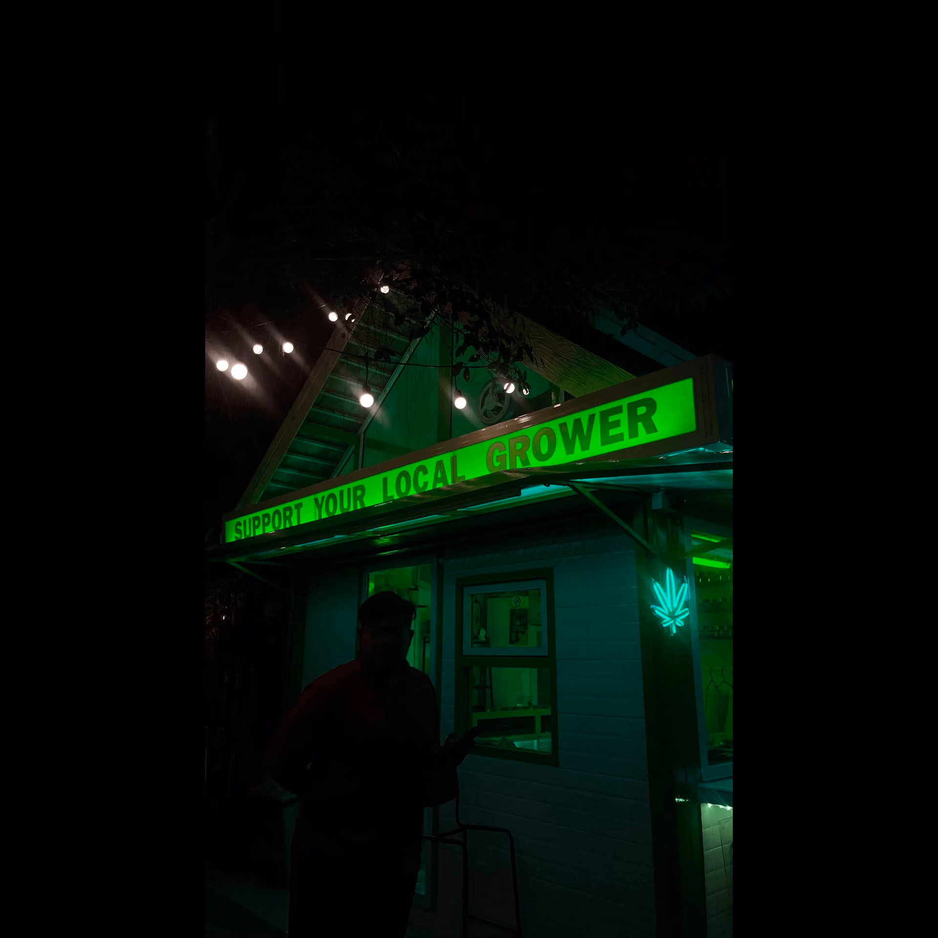 Cannabis Social Club Geen & Friends Weed Cannabis Marihuana logo