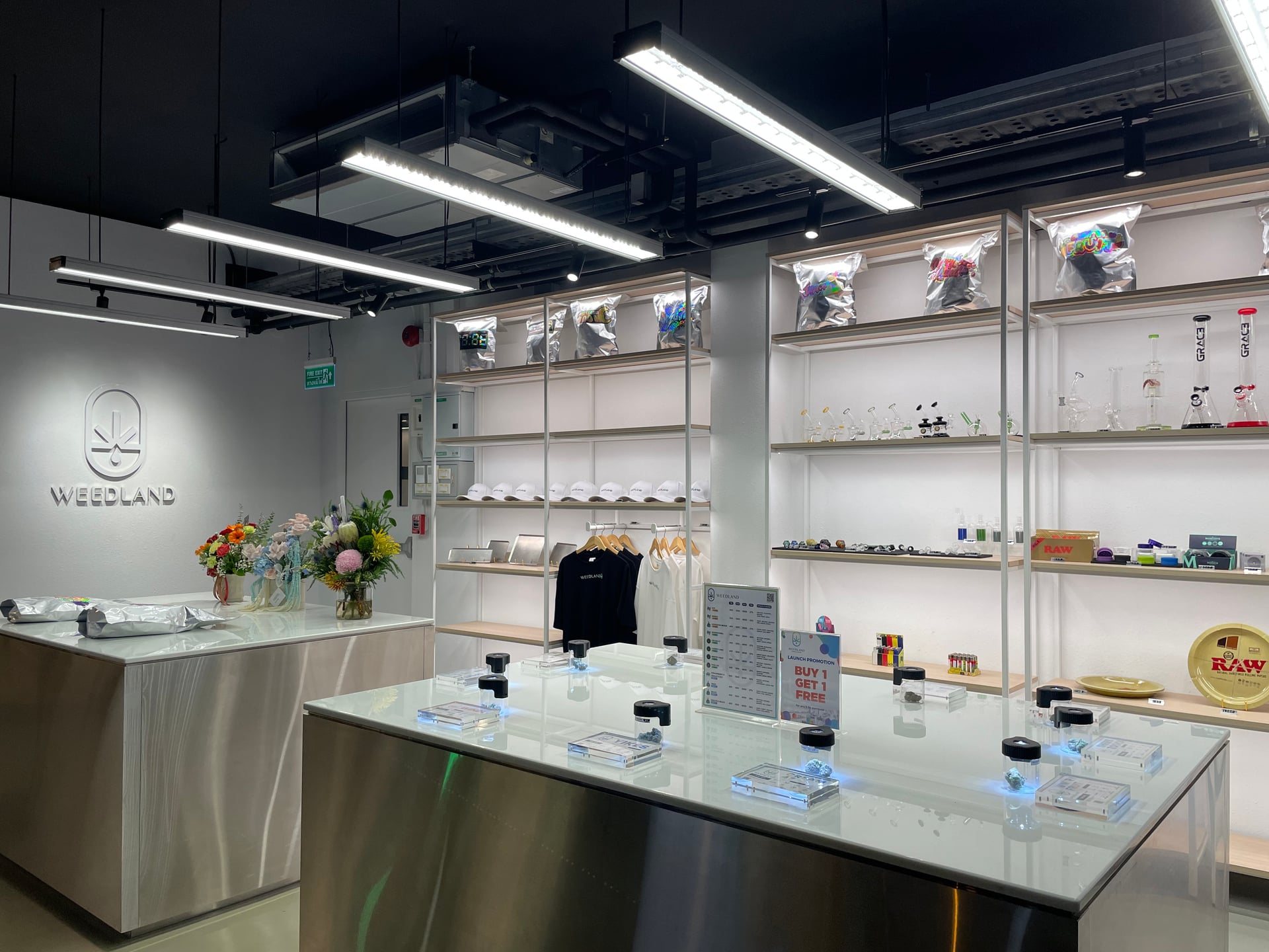 Weedland Lounge