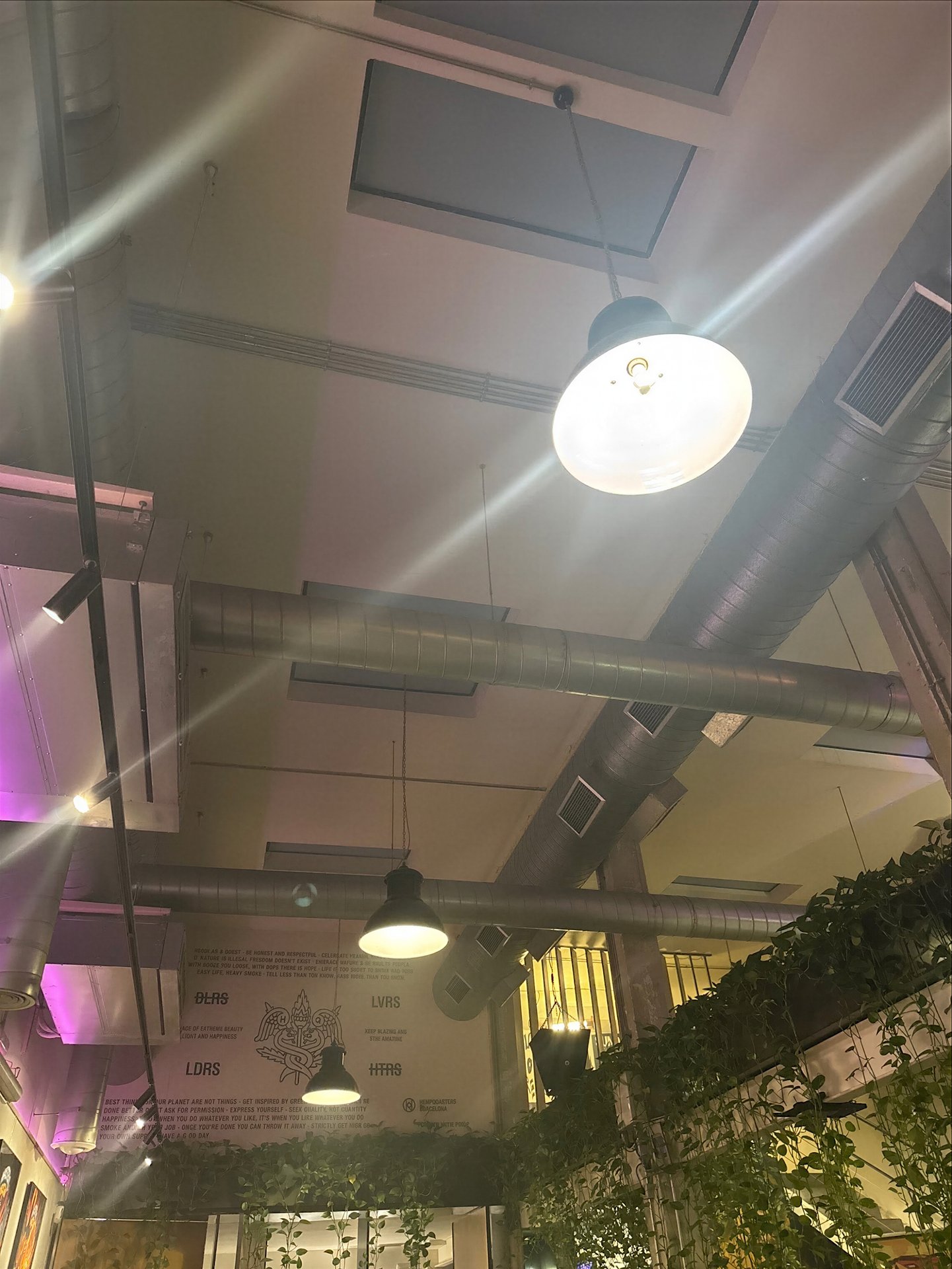 HQ Club