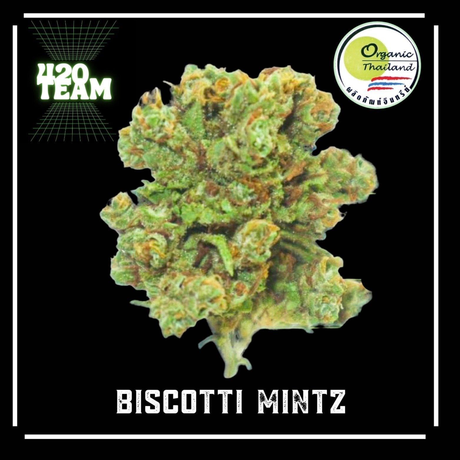 Organic - By.420 Team