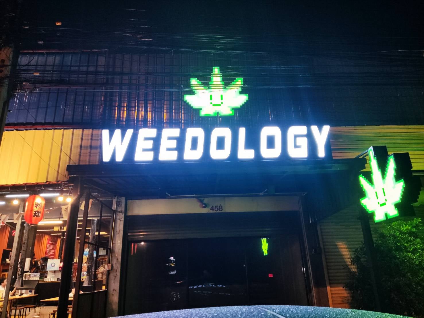 Konguneng.undergrow420