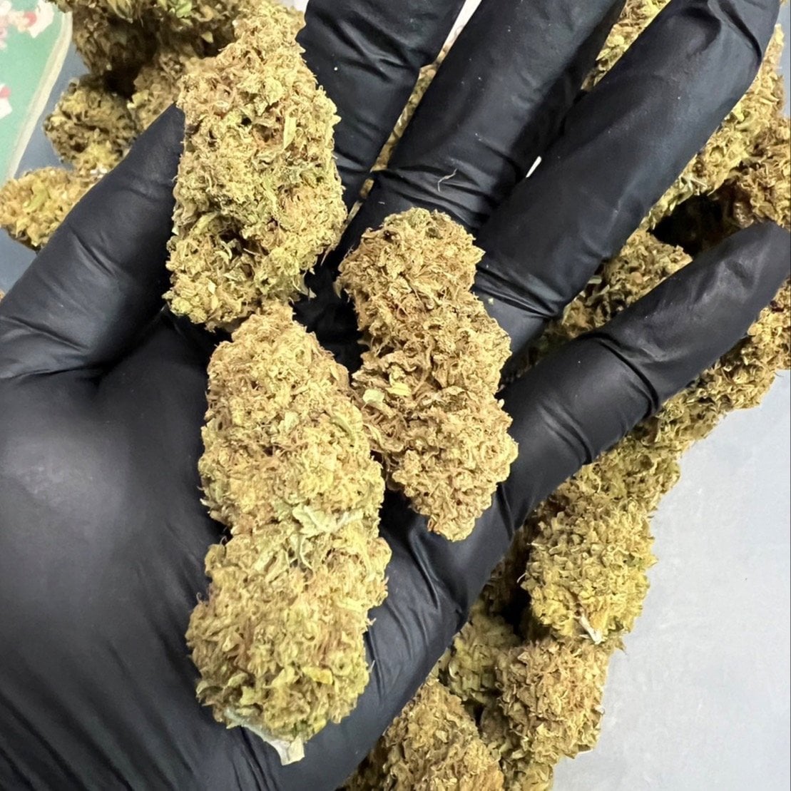 Organic Magix