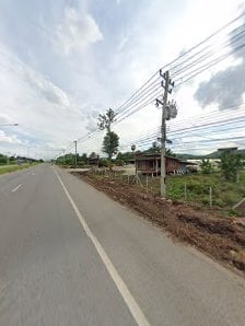 CNBThaLemon