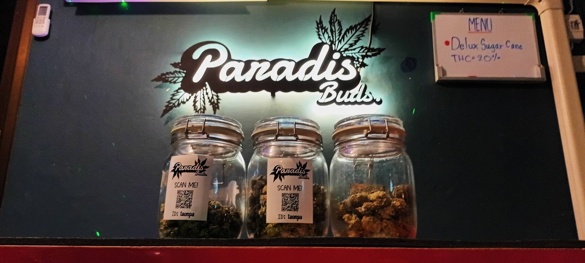 Paradis Buds