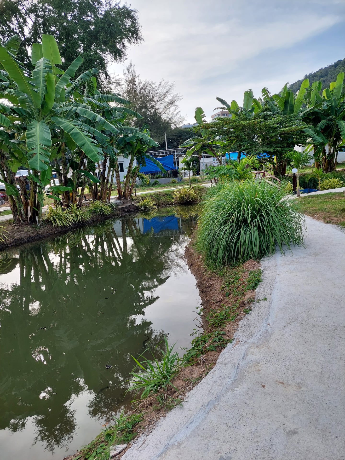 Cannabis Hua Hin