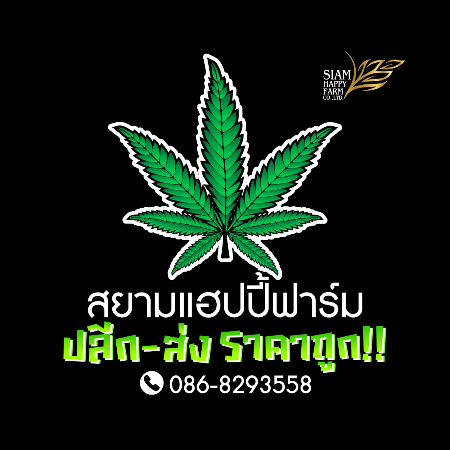 大麻ソーシャルクラブ Siam Happy Farm ロゴ