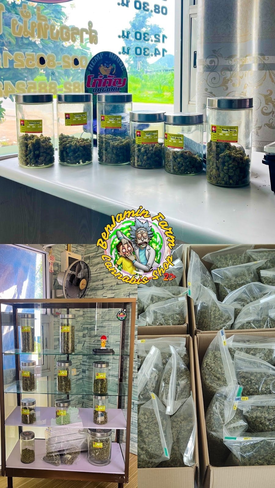 BenJamin Farm'Cannabis