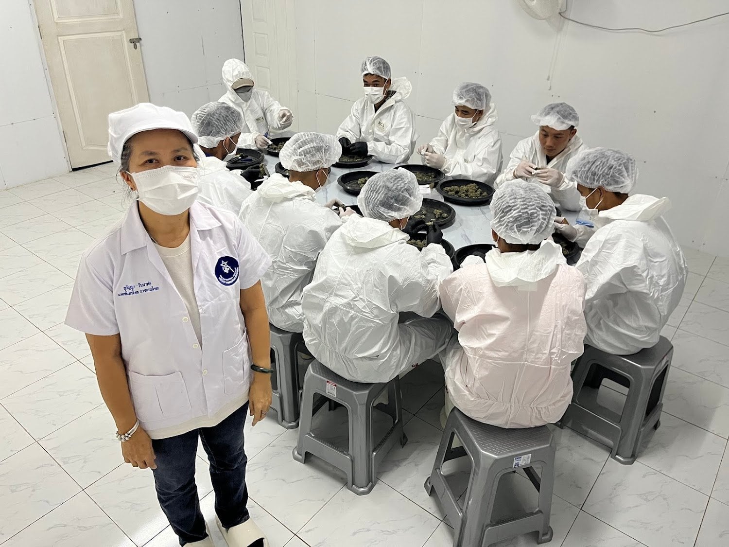 Cannabis Poncharoen Farm