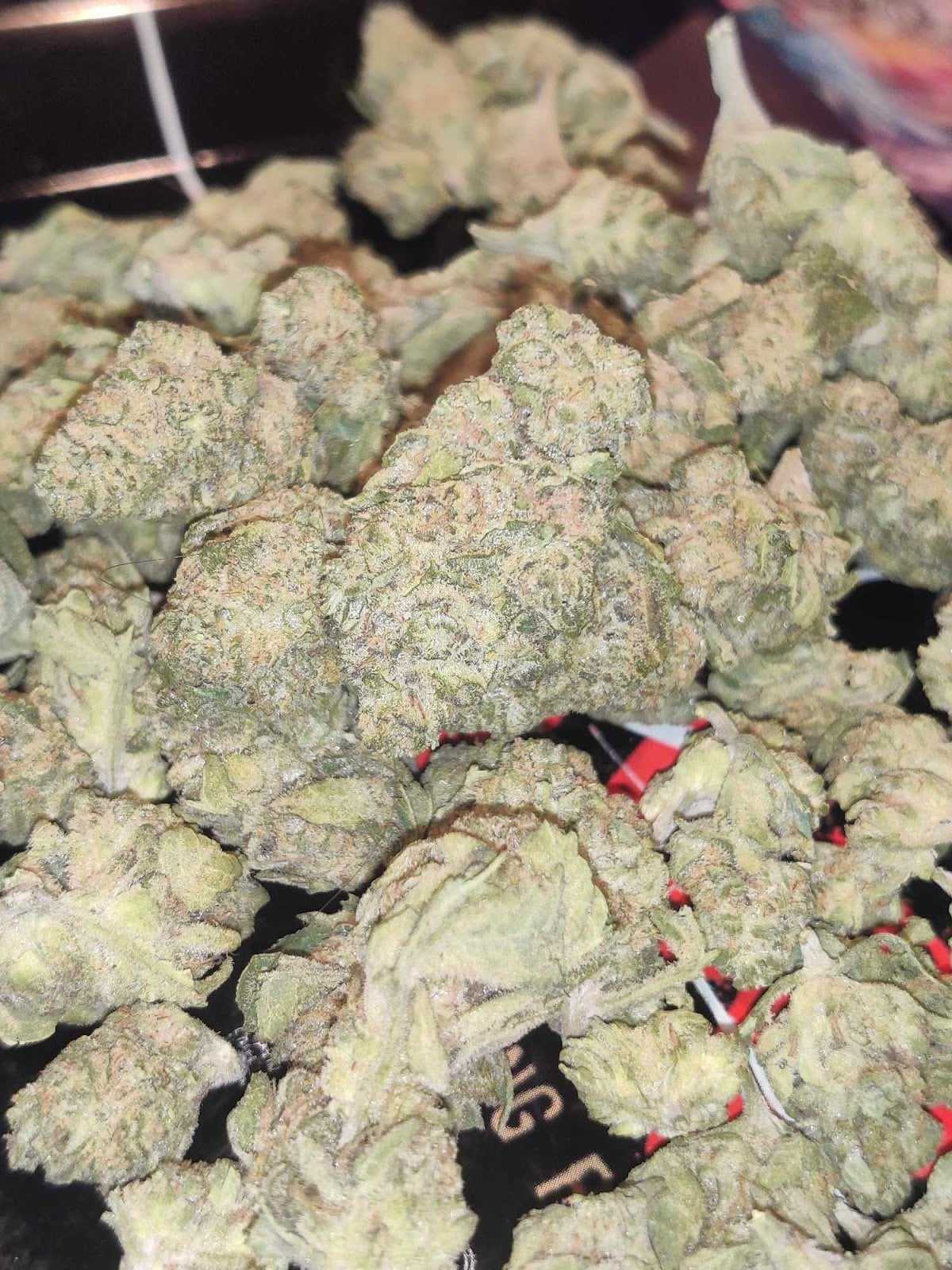 Very Very Good420