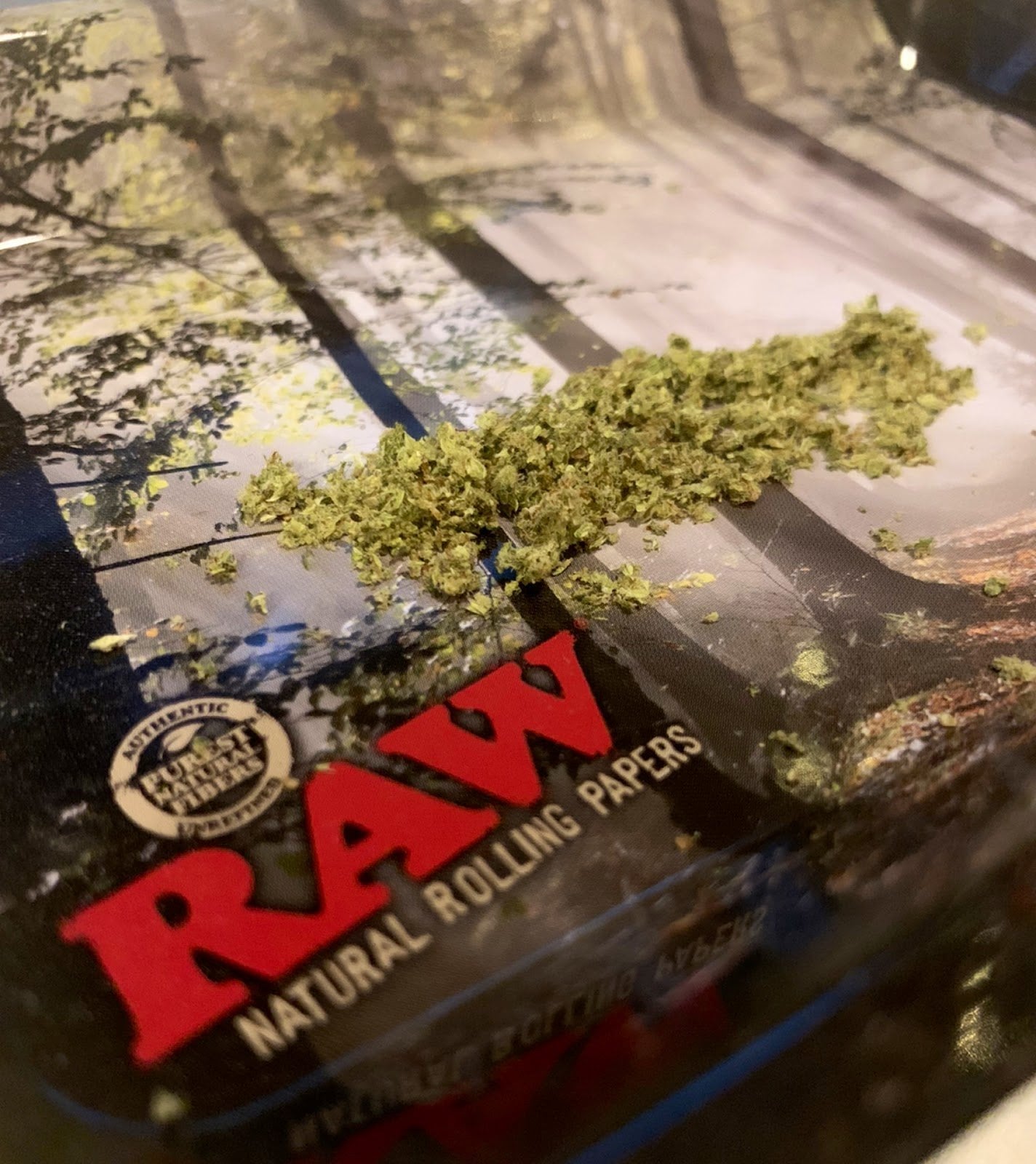 Bear Hemp