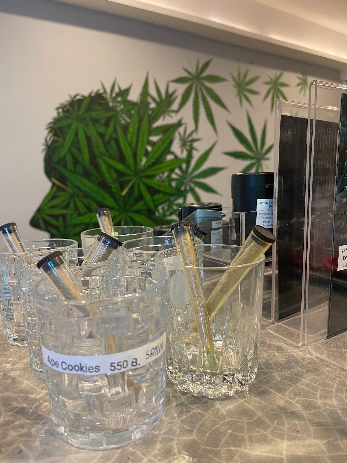 Cannabis Shop Amsterdam Patong