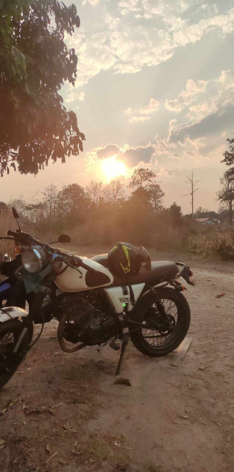 P Jah OG Loei V.2
