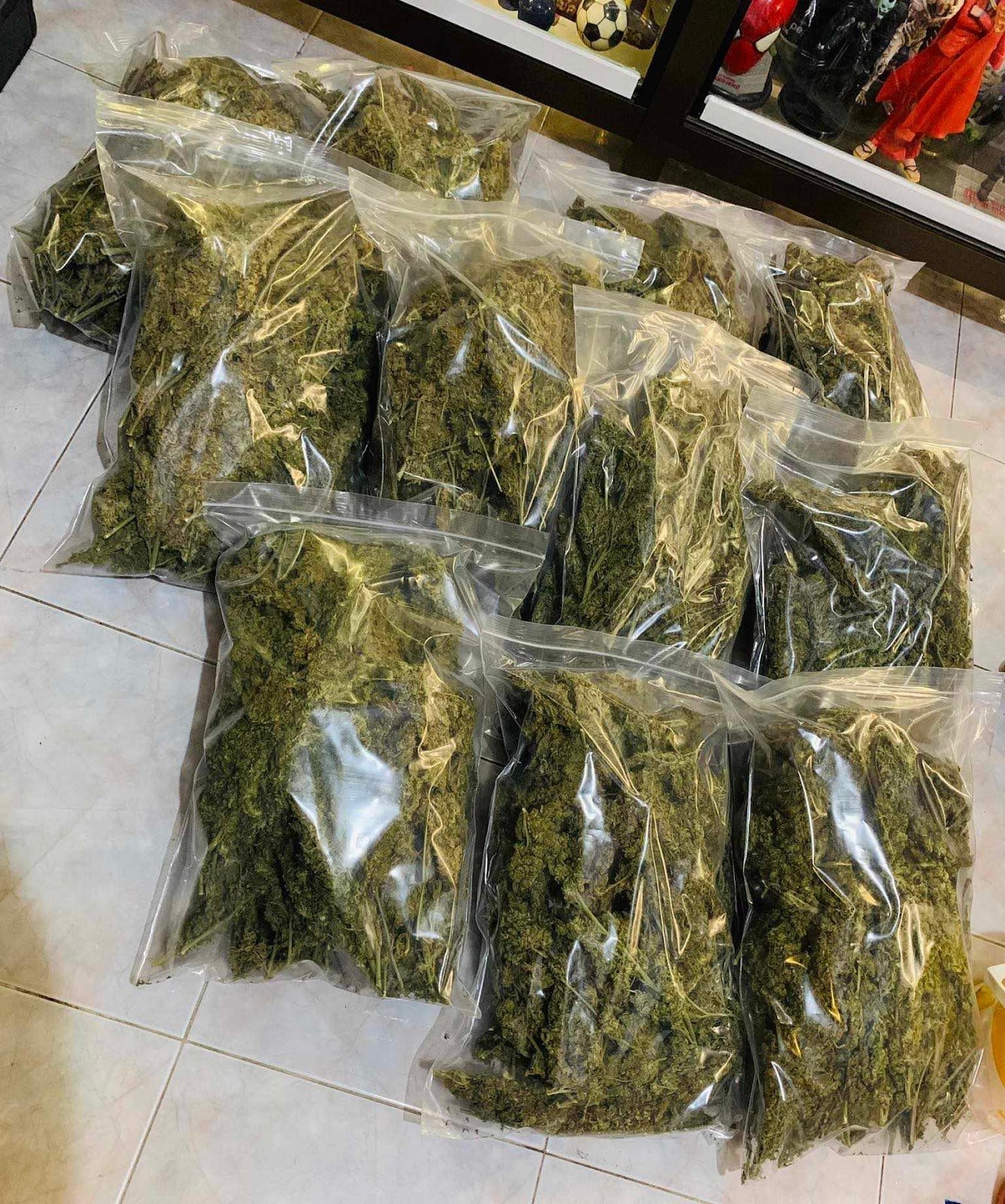 Weed Cannabis OG