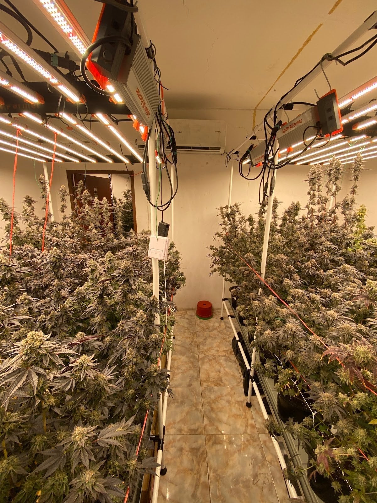 BT420 Farm