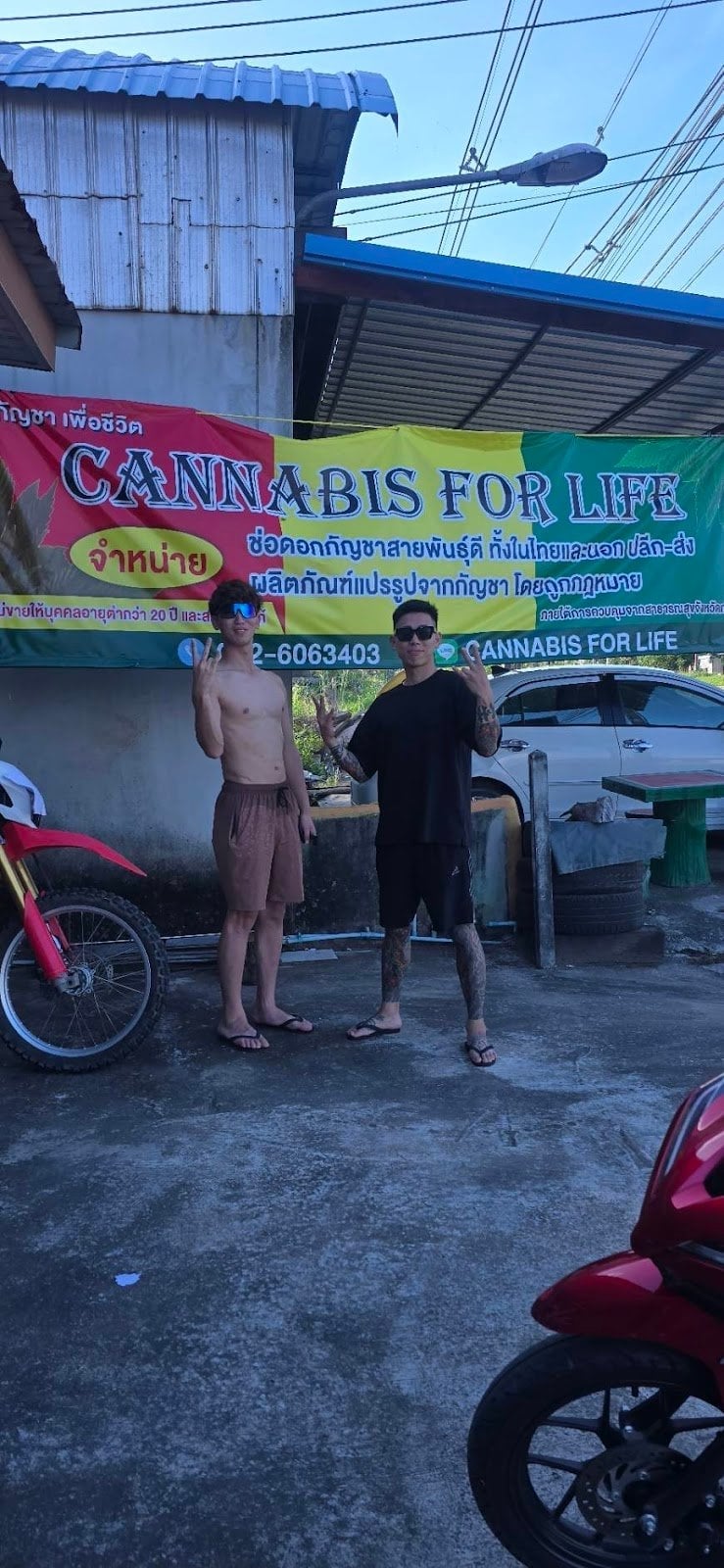 Klongthom Cannabis