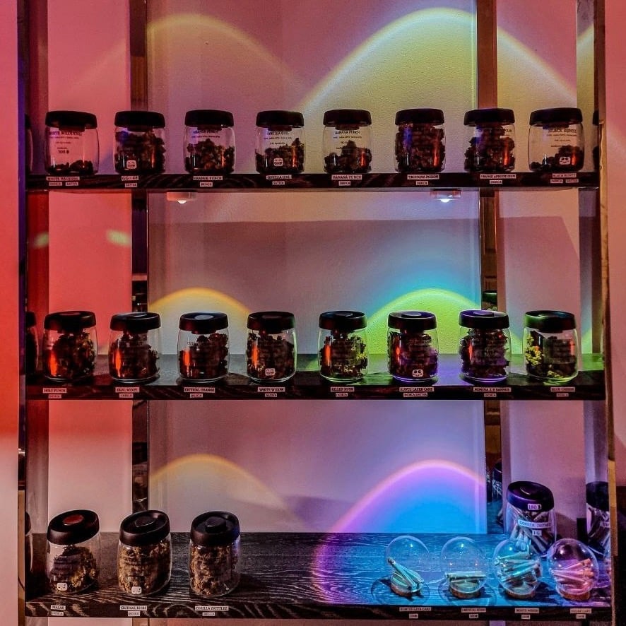Stargazers Coffee Shop & Cannabis Farm