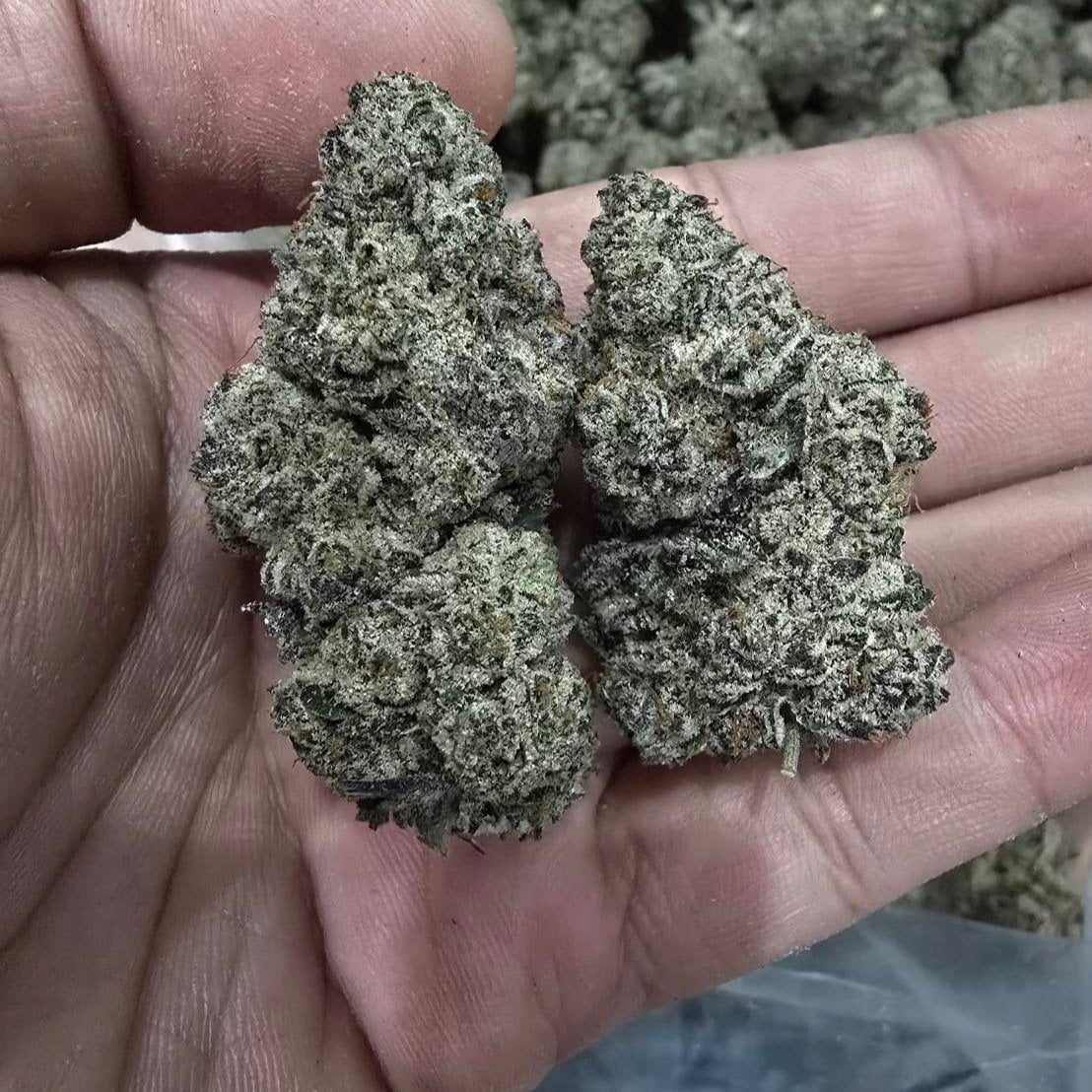 weedPakchong