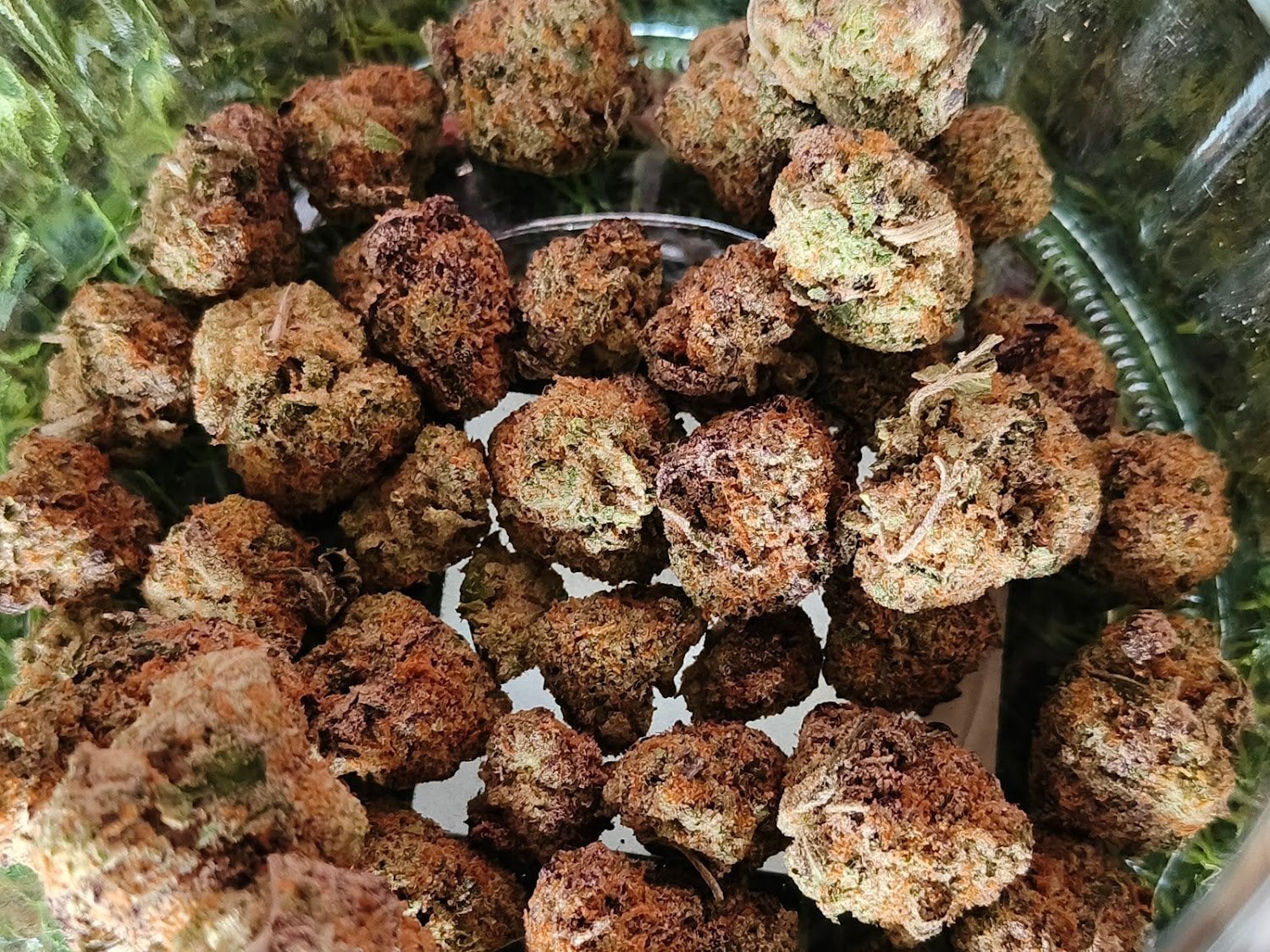 OnnutLand Cannabis Bar