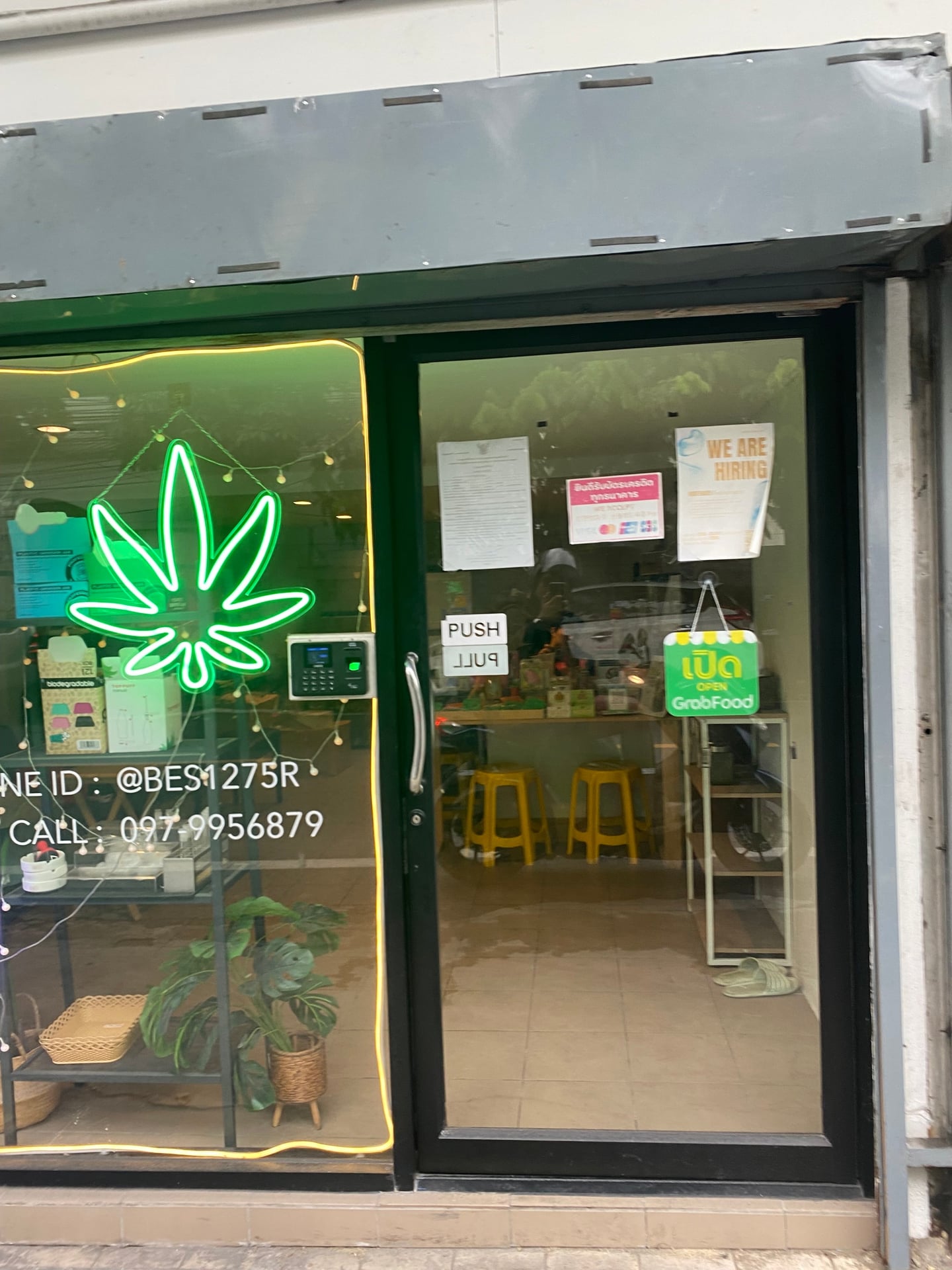 WholeWeed House