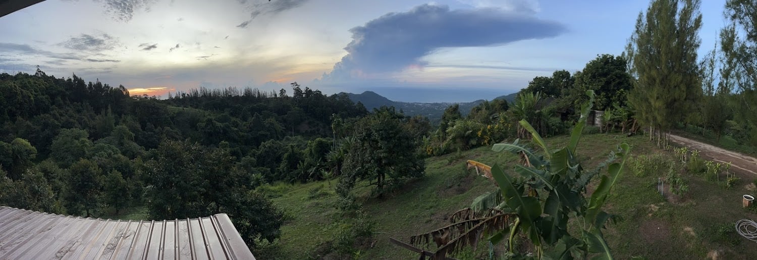 Za-Weed Samui