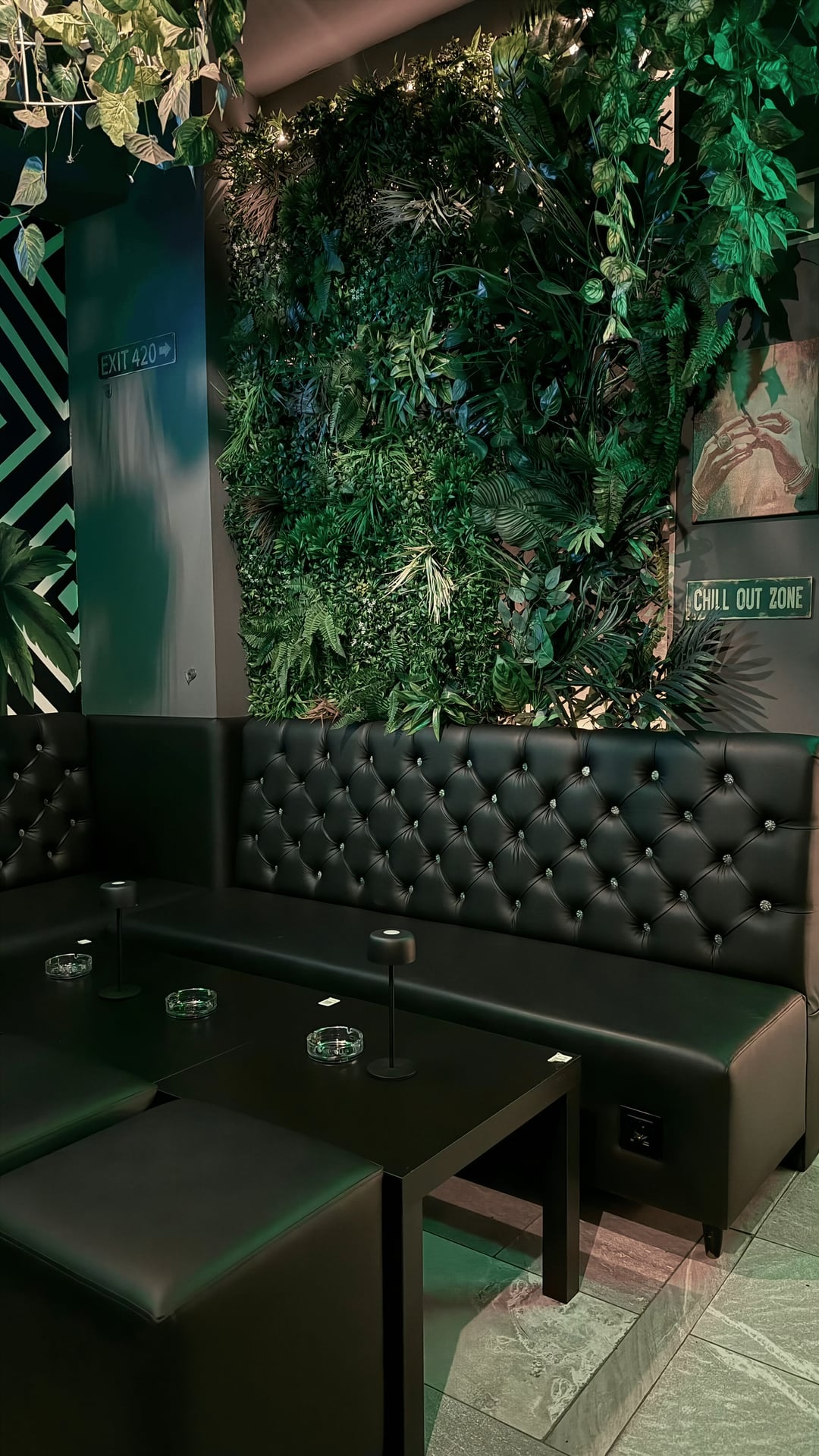 Jungle 13
