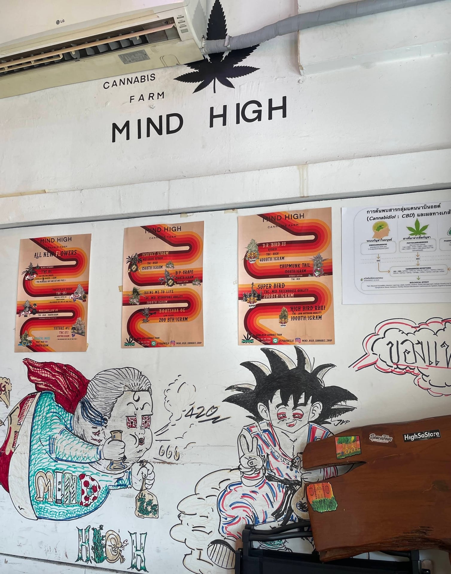 Mind High