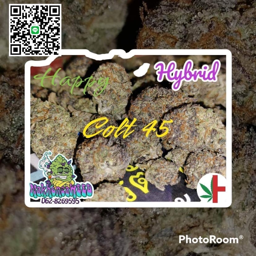 NakhonsaWEED