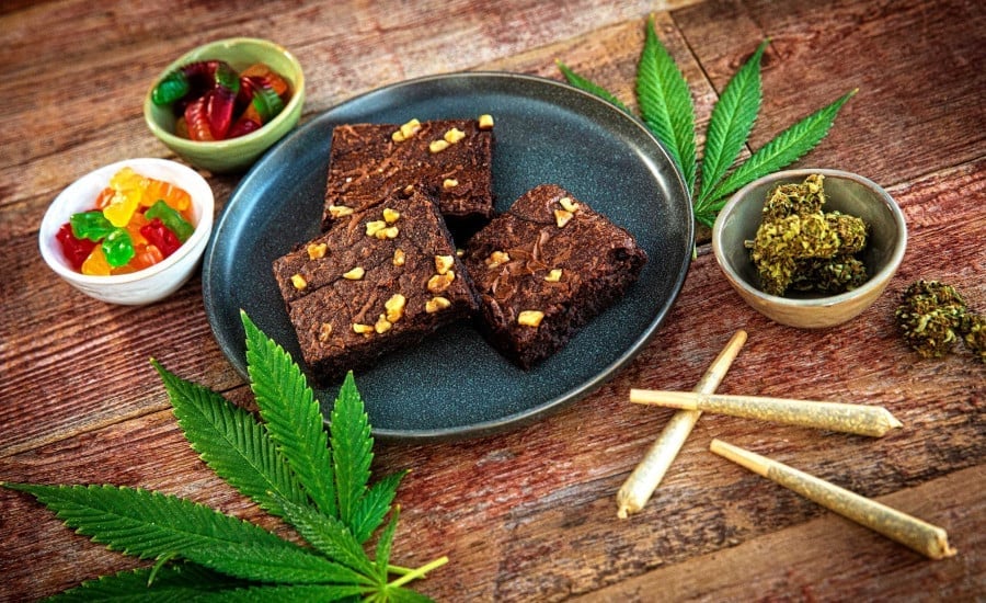 O2 - Coffee Lounge - Game Bar - Cannabis Zone