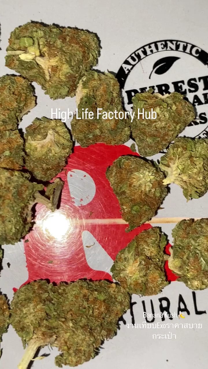 The High Life