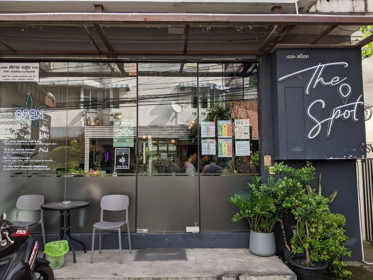 Space Trees: Cannabis Dispensary Chiang Mai